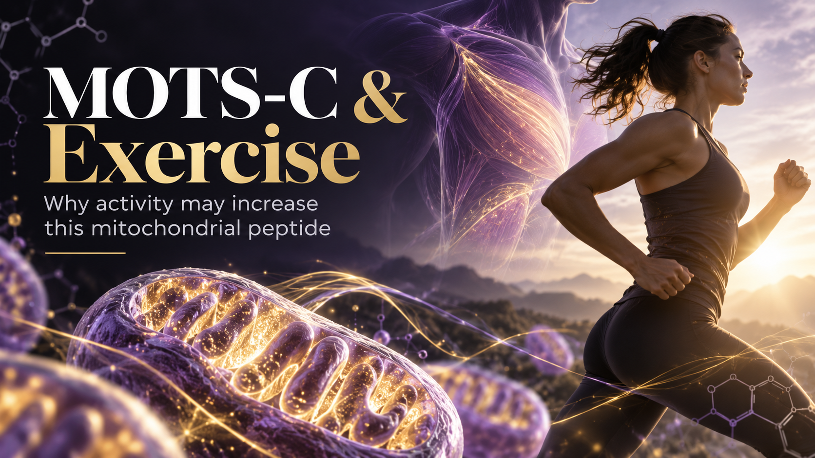 MOTS-C and Exercise: Why Does Exercise Increase This Mitochondrial Peptide?